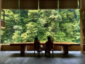 原生林に囲まれたロビー。