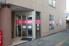 エース薬局（上北台） 外観