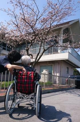 春の穏やかな時間