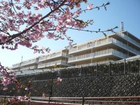 介護保険の入り口から最後まで