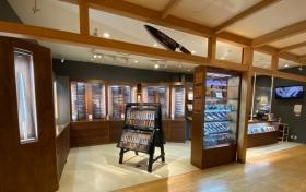 タワーナイブズ東京 外観