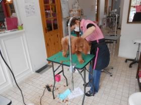 事業所の情報＿００３