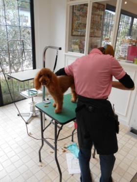 事業所の情報＿００２