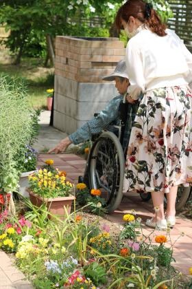 お散歩中の風景