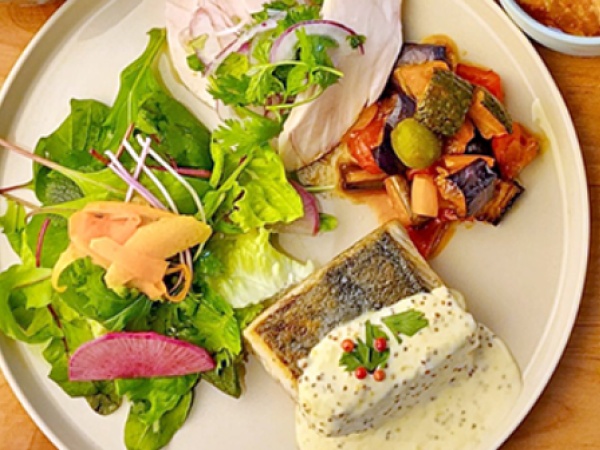 季節の野菜を使った彩り豊かなデリを中心に日替わりランチやサラダランチなどのメニューをご用意しています。