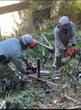 保安伐採 現場写真