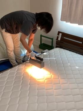 クリーンライブ作業風景