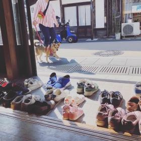 みんなのいえカラフルには日々、色々な方が来所します。