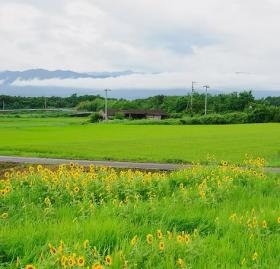 地元の環境に配慮した取り組みを実践しています