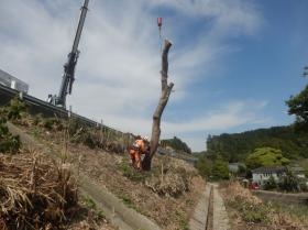 道路事業所 作業写真
