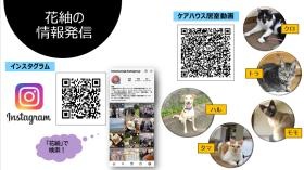 インスタグラムにて情報公開中。職員の働く姿をご覧ください。