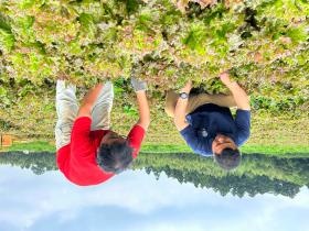 サニーレタスの収穫です。