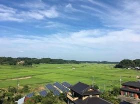 多古米 こしひかりも作っています。