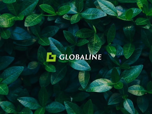 副業の中古車の写真撮影自動車の回送軽作業スタッフ・軽作業スタッフ・社会人デビュー（普通自動車免許・AT限定可）