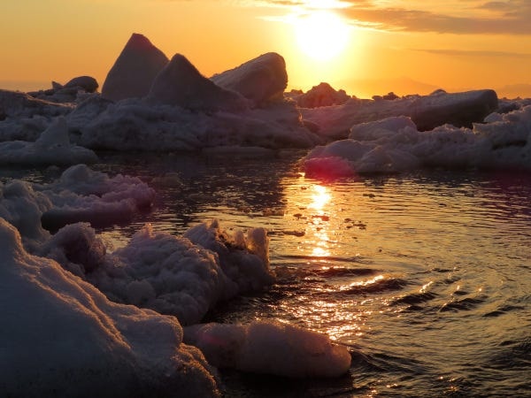 地域おこし協力隊員（未経験大歓迎）