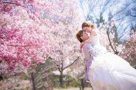 ウェディングロケーションフォト撮影 春