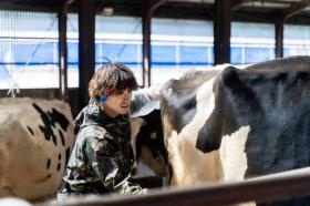 牛をあいてにする事もあります。