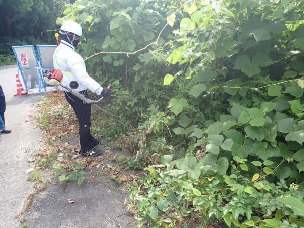普段の仕事は道路や歩道の除草・作業。地域の人が安心して歩けるように、ひとつひとつ丁寧に取り組んでいます。