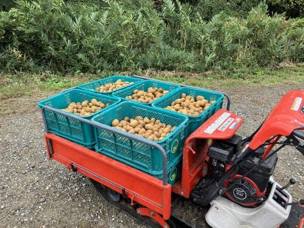 キウィの生産スタッフ・スターアップメンバー（シフト希望OK・未経験者歓迎）