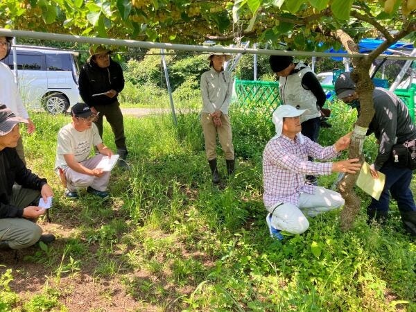 キウィの生産スタッフ・スターアップメンバー（シフト希望OK・未経験者歓迎）