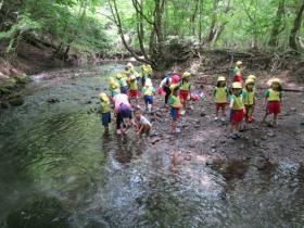 たくさんの自然体験を行います