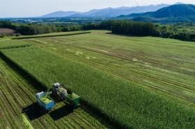デントコーンの収穫面積は１５００ｈａ