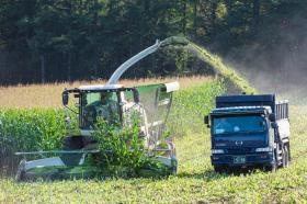 デントコーンの収穫風景