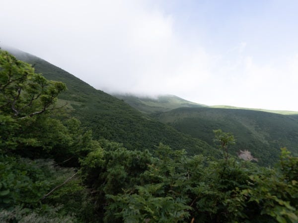 観光サポートスタッフ（Iターン歓迎・普通自動車運転免許）