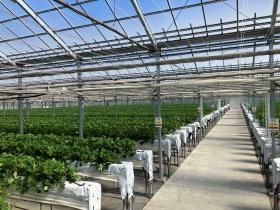 作業場所（圃場）