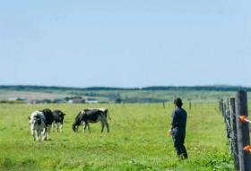 雄大な牧場での仕事や・・・・