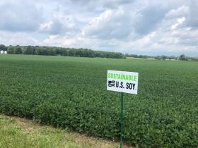 アメリカ契約栽培大豆