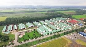 牧場の全体風景。交雑種を中心に約５０００頭を飼養