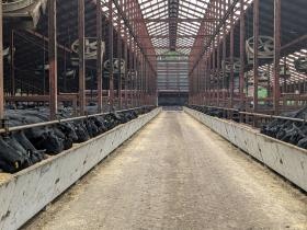 素牛出荷に向けて仕上げ段階の育成舎の様子