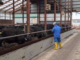 部門制による分業体制なので未経験の方も安心です