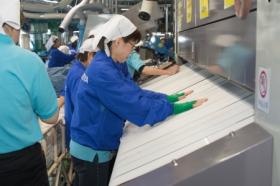 本社工場 枕カバー投入作業