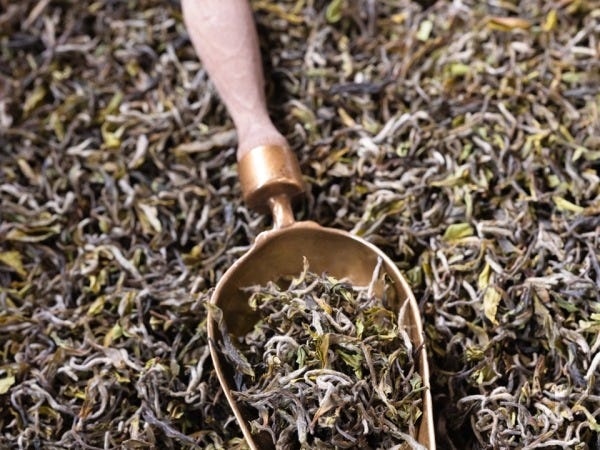 シーズンごとに旬摘み紅茶が届きます