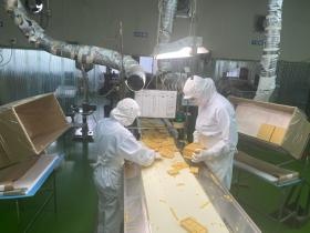 事業所の情報＿００２