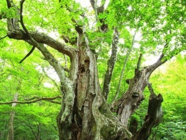 人間として成長できると期待しています！