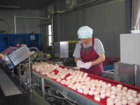 事業所の情報＿００１