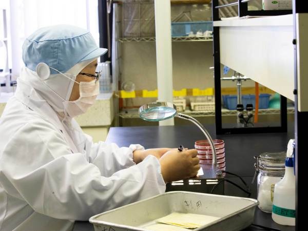 食品工場での品質管理・年齢問わず食品製造工場で品質管理業務の経験者