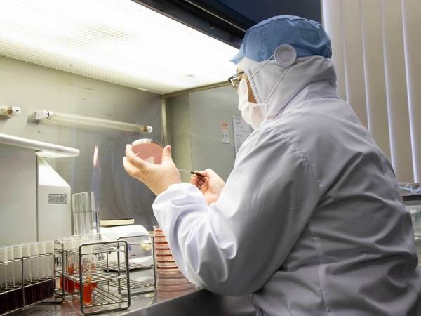 食品工場での品質管理・年齢問わず食品製造工場で品質管理業務の経験者