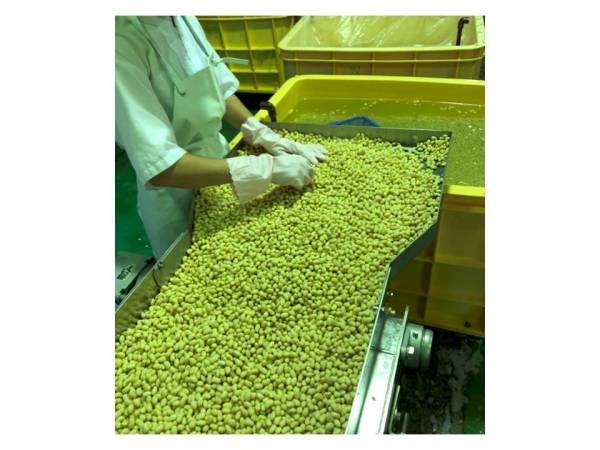 大豆の割れや黒点のあるものを取り除きます