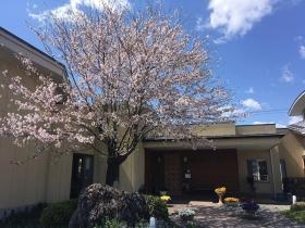 サロンドフレール大野