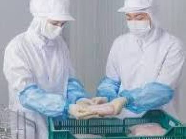 軽作業スタッフ（未経験OK・交通費支給あり）