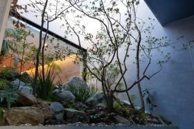 中庭です。来院される患者様が安心できる空間を目指しています。