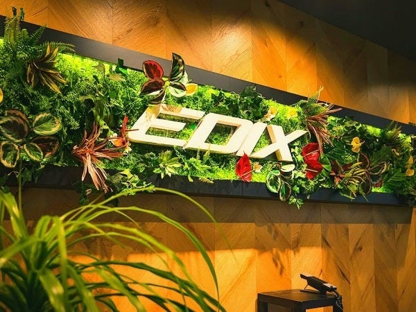 リゾートをイメージした、本社エントランスの写真です。