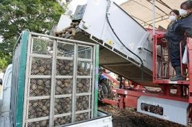 女性従業員活躍中