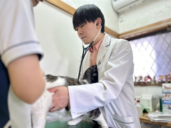 獣医師学科卒業の獣医師・中途獣医師（独立を目指す方も歓迎）