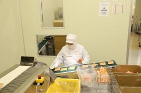 工場内の作業の様子３