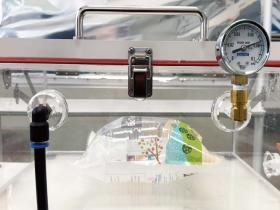 品質検査／異常がないか確認してから出荷となります。